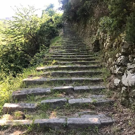 Balcone Sul Mare 蒙特罗索阿尔马雷