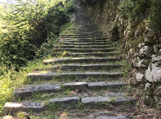 Balcone Sul Mare 蒙特罗索阿尔马雷